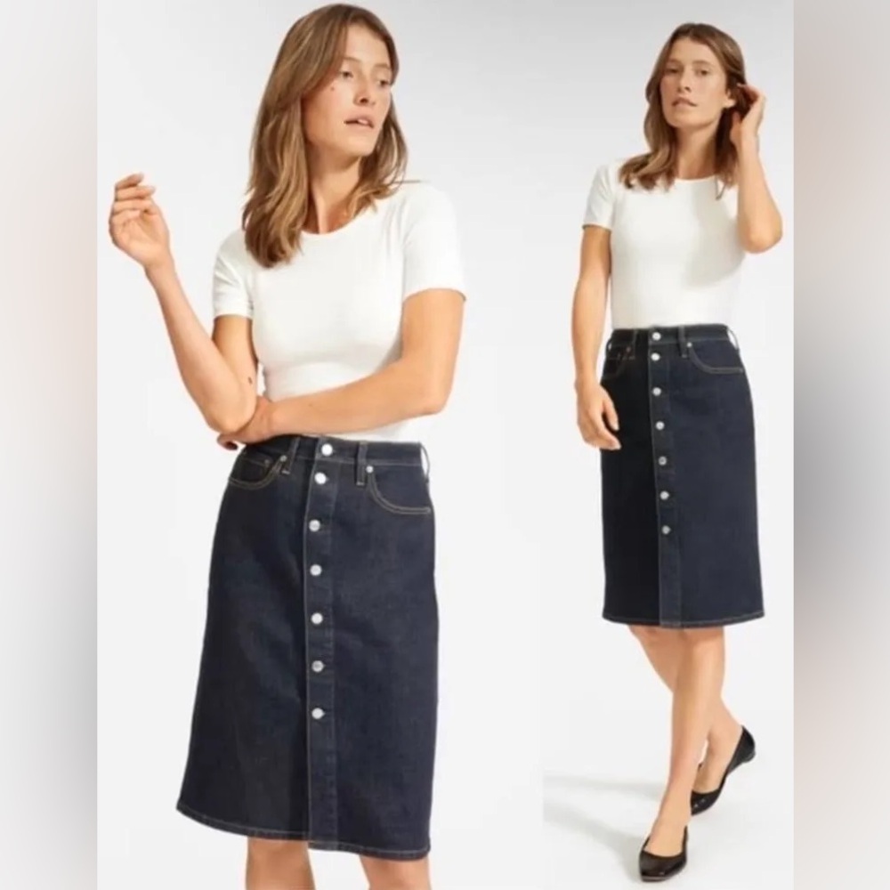Everlane Denim Pencil Skirt